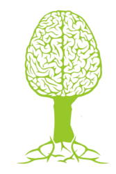 De boom daagt je uit!